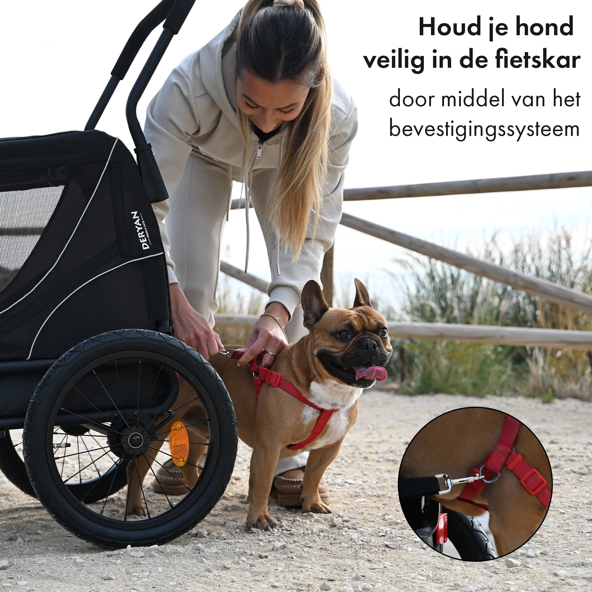 Hondenfietskar 2-in-1 – Opvouwbaar – Tot 20kg – Geschikt voor E-bikes - Image 7