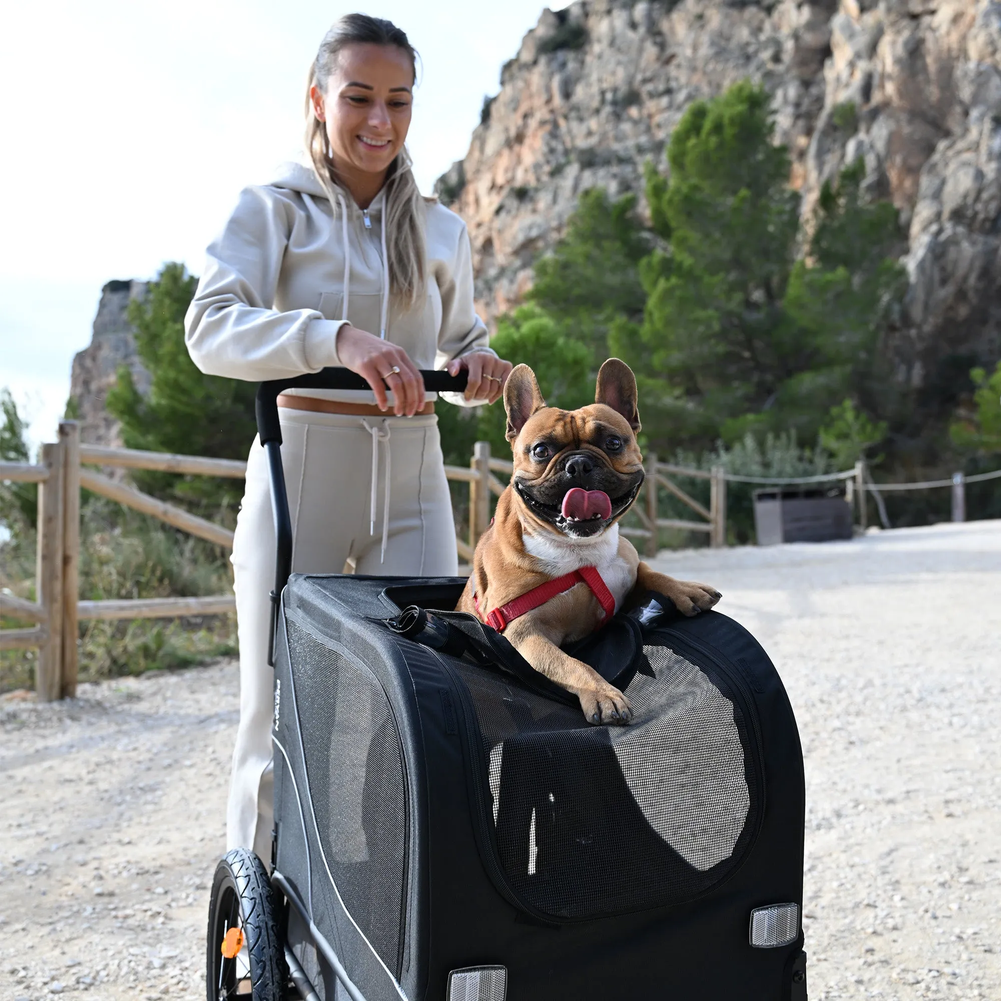 Hondenfietskar 2-in-1 – Opvouwbaar – Tot 20kg – Geschikt voor E-bikes - Image 8